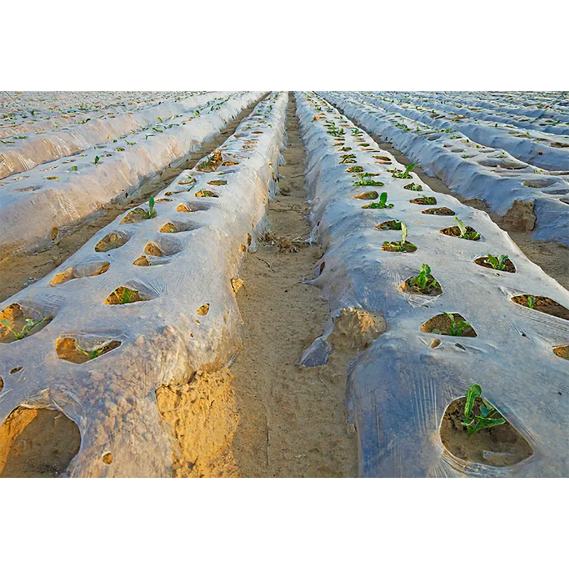 Agrarfilm -Plastikfilm